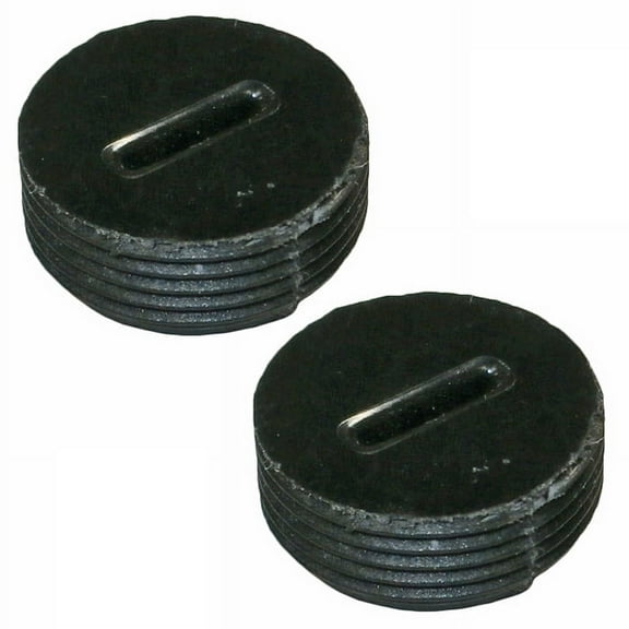 DeWalt Sander Replacement Brush Caps - N024448-2PK