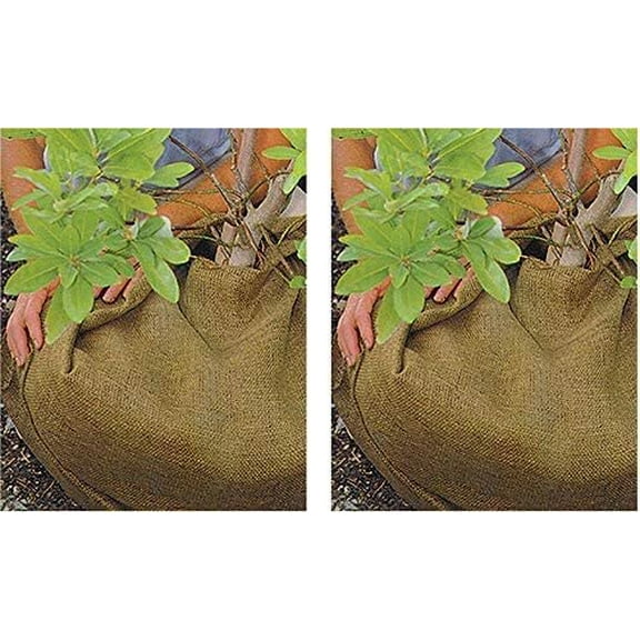 DeWitt Burlap Plant Cover NB348 - Multicolor, 2 Pack, 3' x 48'