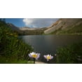 thumbnail image 1 of DeWitt Flower II Glossy Poster, 1 of 2