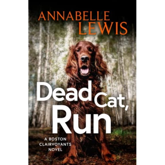 Pre-Owned Dead Cat, Run (The Boston Clairvoyants) Paperback