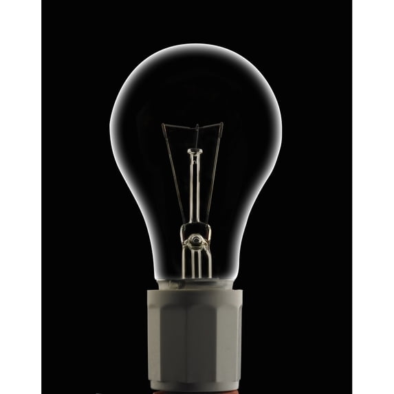 Dead Light Bulb Poster Print