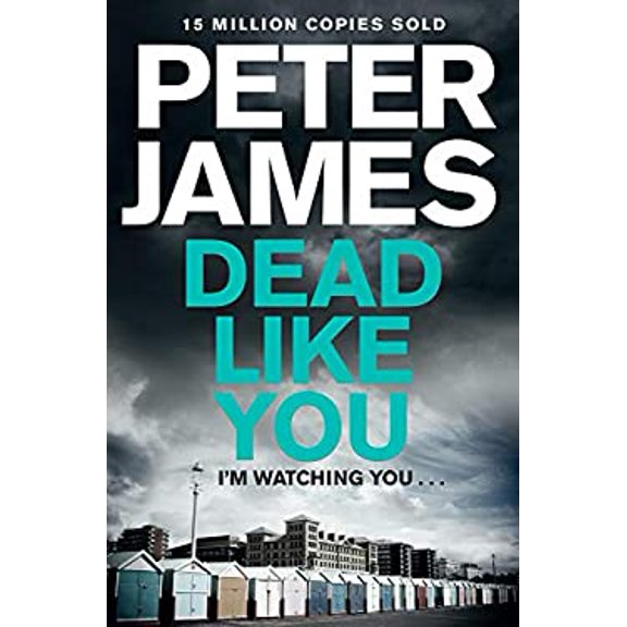 Pre-Owned Dead Like You (Paperback) 1447272668 9781447272663