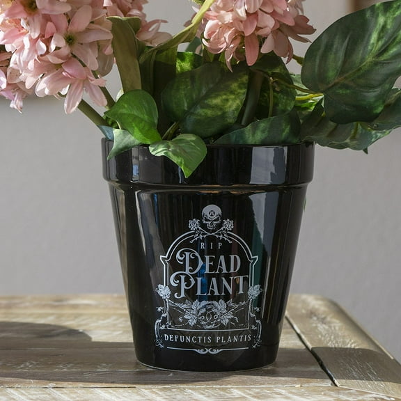 Dead Plant RIP Skull Grave Tombstone Wicca Witch Flower Herbs Planter Pot