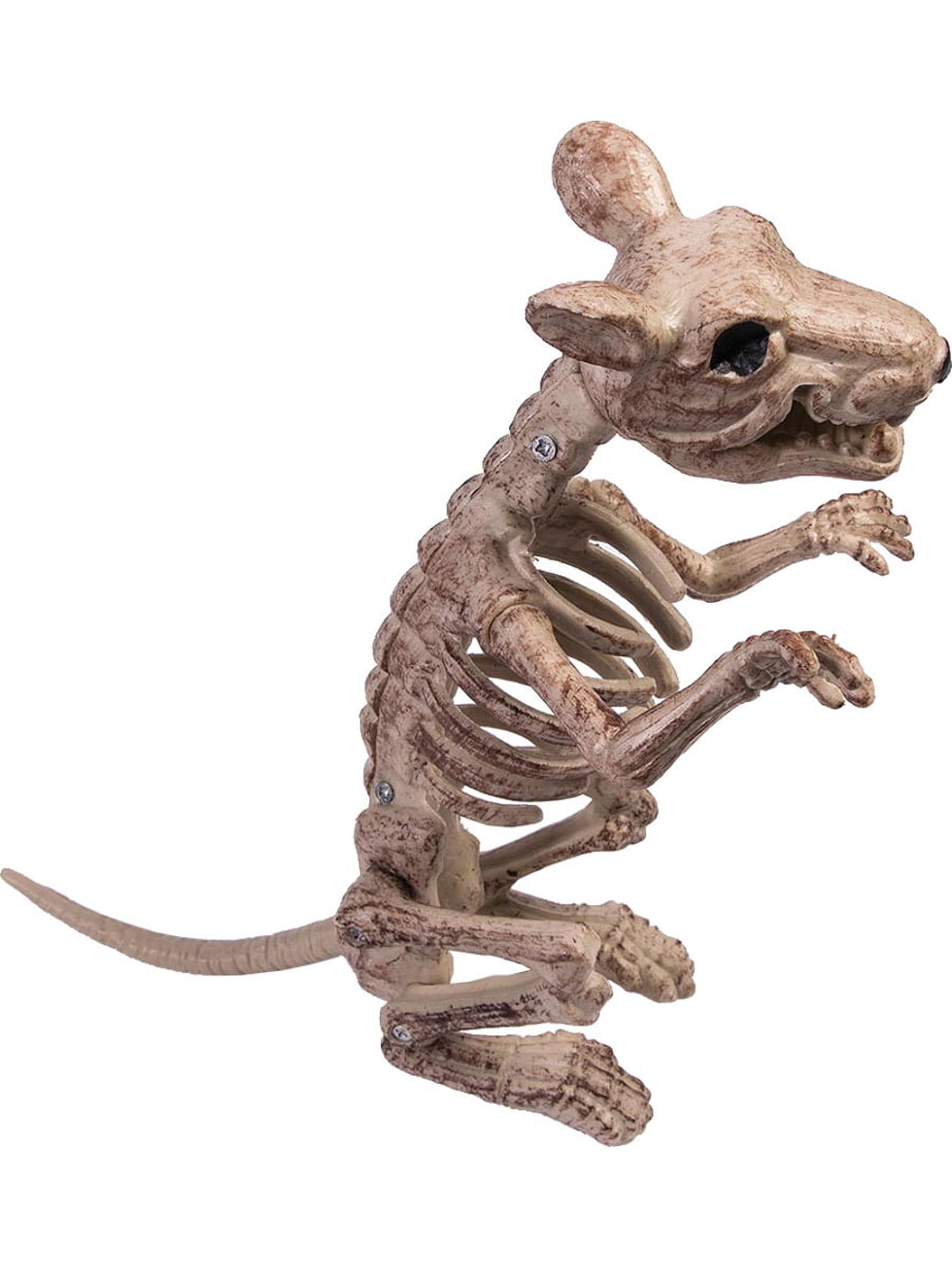 Begging Rat Mouse Rodent Skeleton Halloween Party Decoration