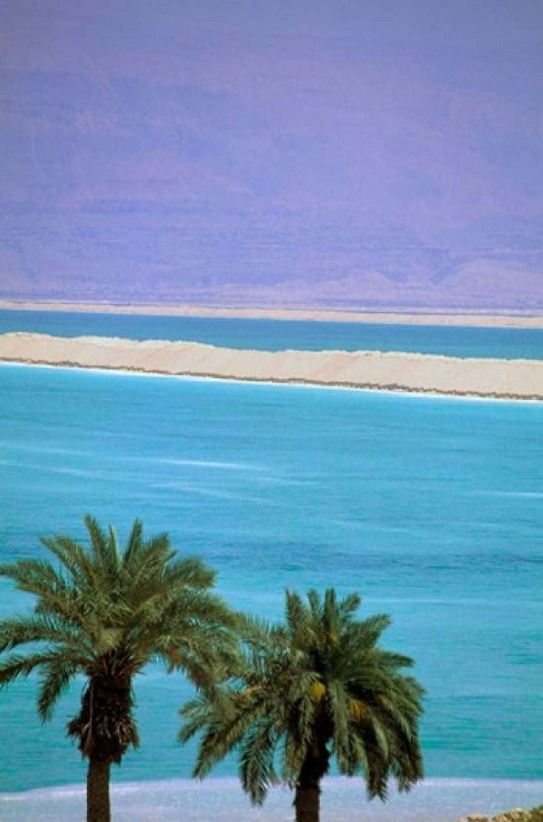 Dead Sea Israel Canvas Art - Nik Wheeler DanitaDelimont (24 x 36)