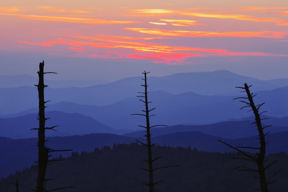 Dead Trees And Mountains At Dusk From Clingmans Dome Great Smoky Mountains National Park North Carolina Canvas Art - Yves Marcoux Design Pics (34 x 22)