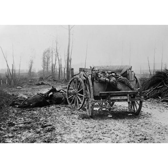 Dead Ww1 German Artilleryman And Horses. 1914-18. (Bsloc2012461) History (36 x 24)