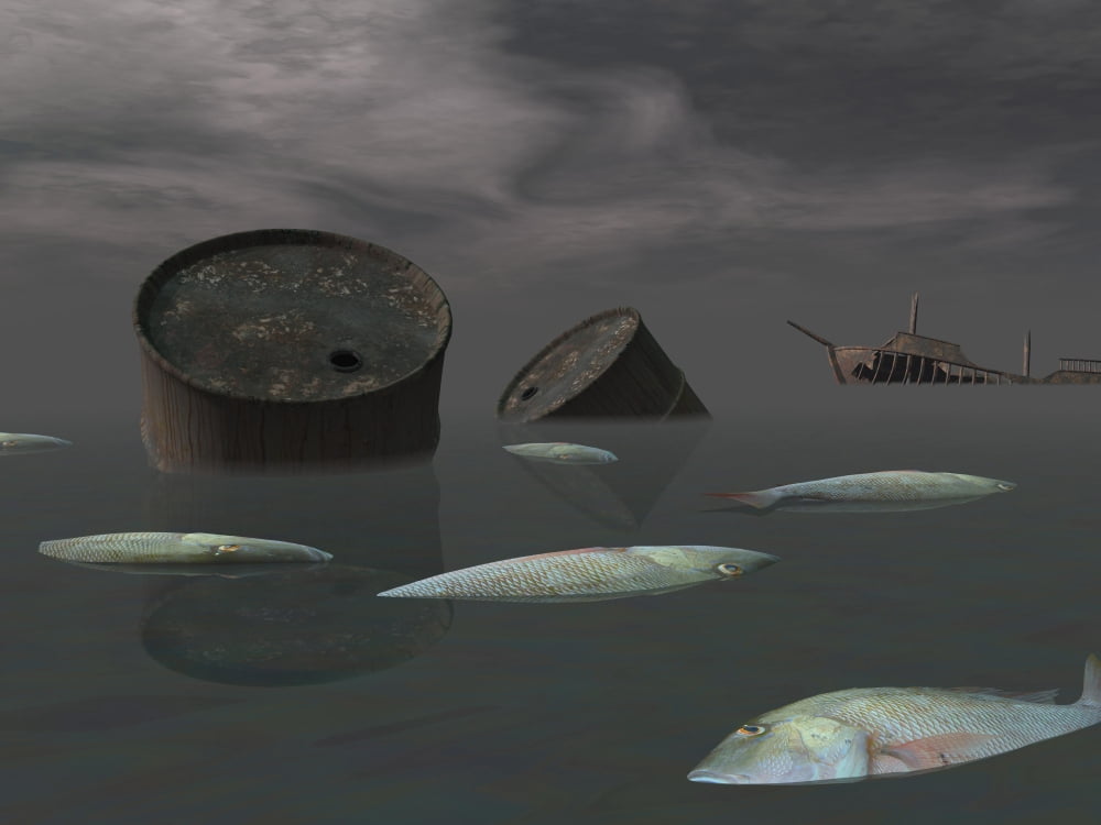Dead fish and oil tanks in polluted ocean near tanker wreck Canvas Art - Elena DuvernayStocktrek Images (17 x 13)