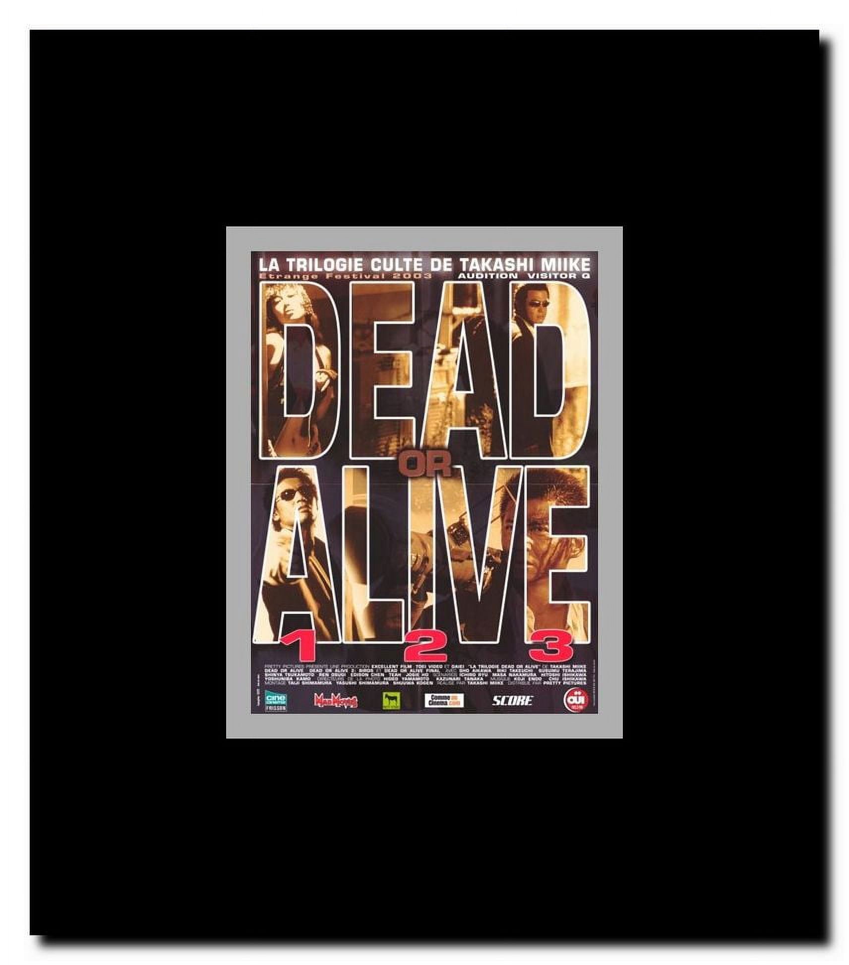 Dead or Alive: Final Framed Movie Poster