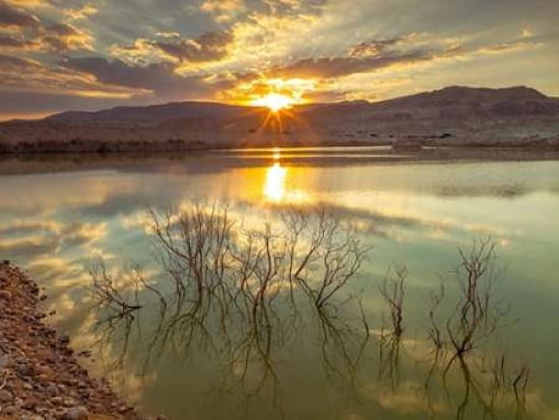 Dead sea Israel Canvas Art - Assaf Frank (18 x 24)