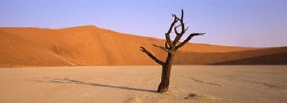 Dead tree in a desert Dead Vlei Sossusvlei Namib-Naukluft National Park Namibia Canvas Art - Panoramic Images (18 x 7)