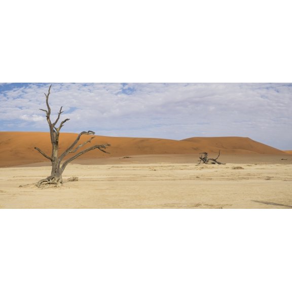 Dead trees in a desert Dead Vlei Sossusvlei Namib Desert Namib-Naukluft National Park Namibia Canvas Art - Panoramic Images (27 x 9)