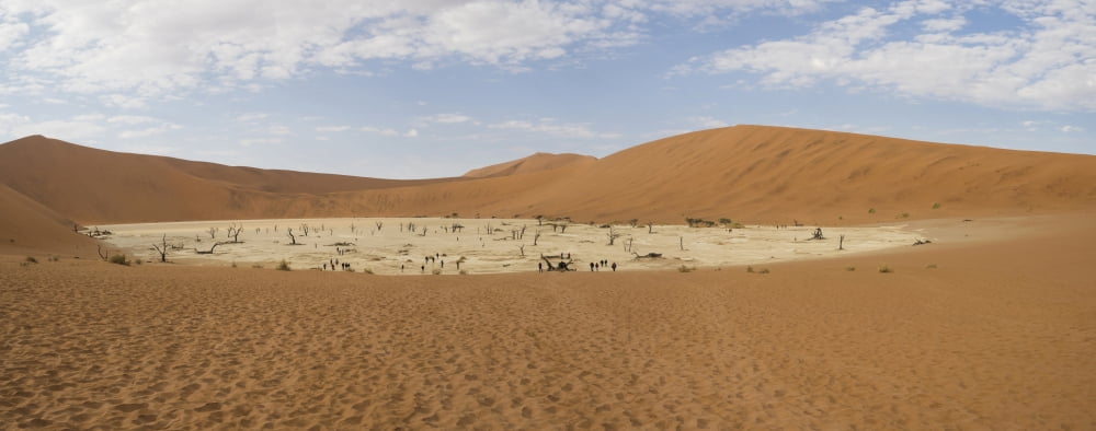 Dead trees in a desert Dead Vlei Sossusvlei Namib Desert Namib-Naukluft National Park Namibia Canvas Art - Panoramic Images (36 x 12)
