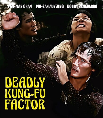 Deadly Kung-Fu Factor (Blu-ray), Dark Force Ent, Action & Adventure ...