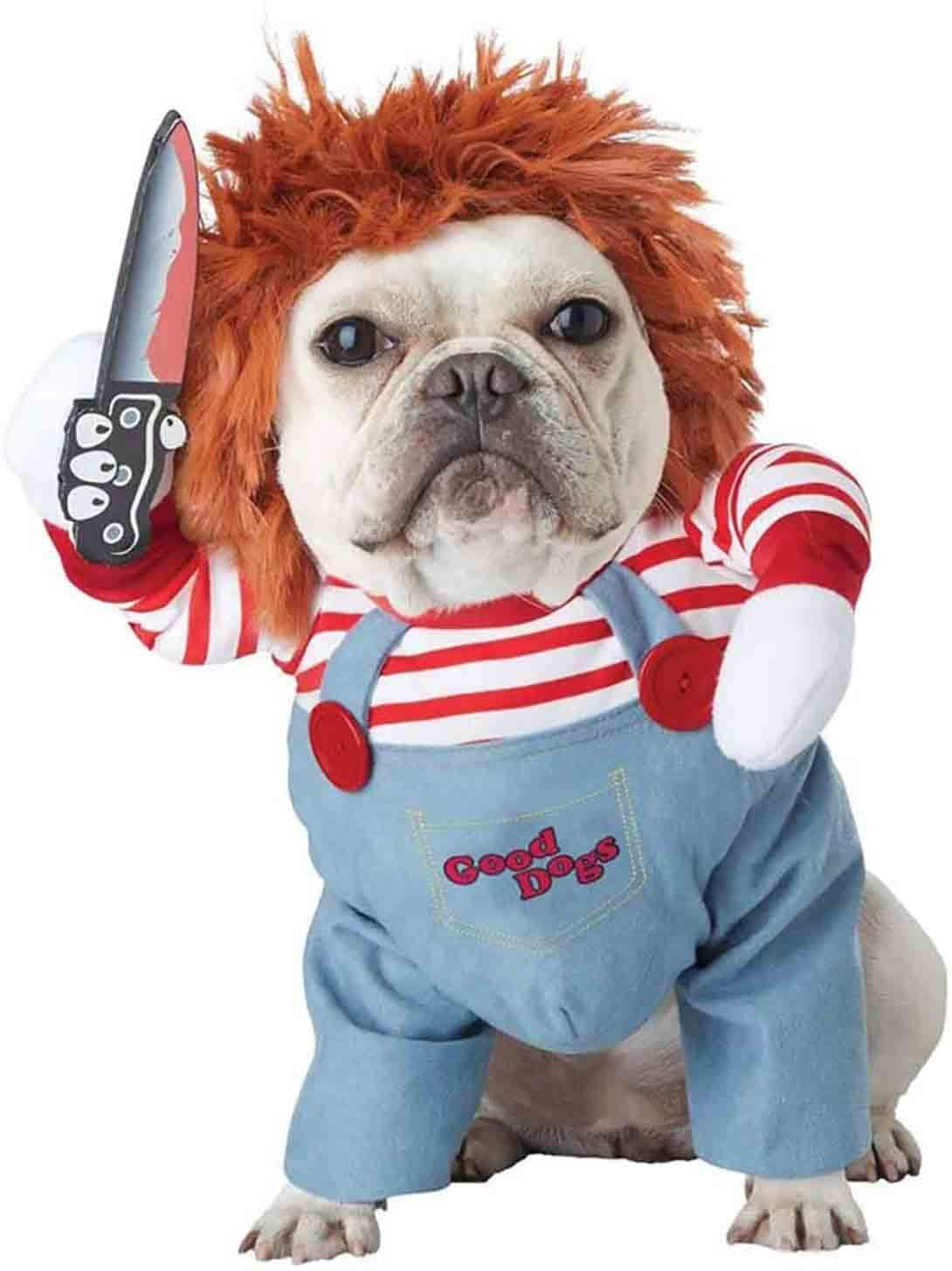 Scary Dog