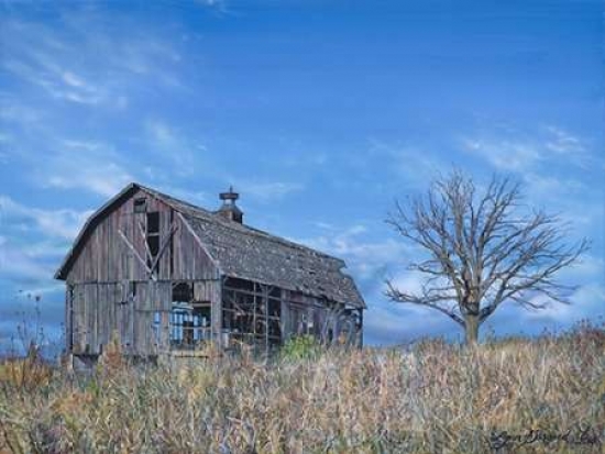 Deadwood Canvas Art - Lynn Garwood (22 x 28)