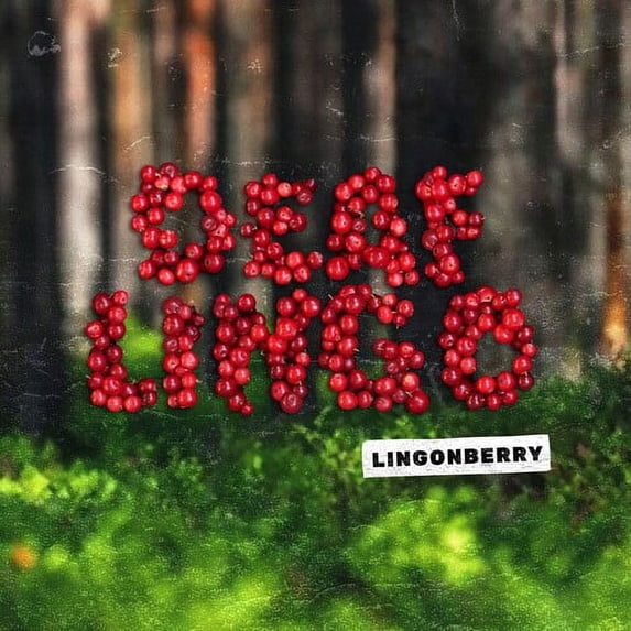 Deaf Lingo - Lingonberry - Music & Performance - Vinyl