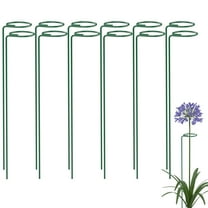 Deago 12 Pack 15.7 inch Plant Support Stakes Garden Single Stem Plant Stakes Flower Support Rings for Amaryllis Orchid Lily Rose Tomatoes, Green