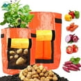 thumbnail image 1 of Deago 2 Pack 10 Gallon Grow Bags Portable Potato Growing Bag Planter Bags Planting Pouch with Handles Access Flap for Carrot Onion Vegetables, 1 of 8