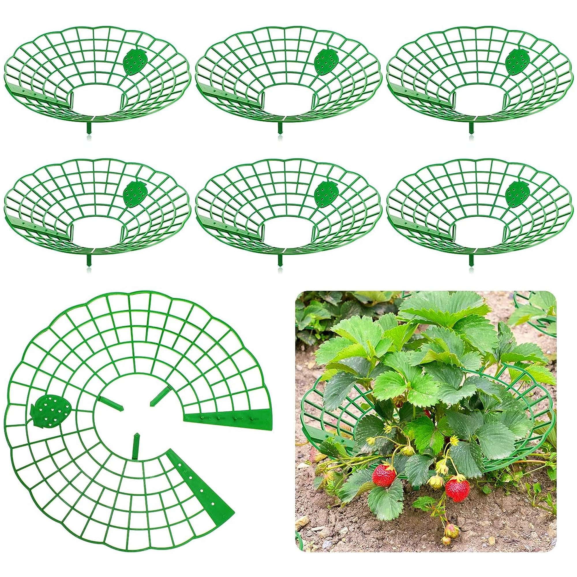Deago 5 Pack Strawberry Supports Strawberry Plant Support Stand