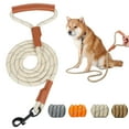 thumbnail image 1 of Deago 5FT Strong Dog Leash Rope with Comfortable Leather Handle Highly Reflective Threads Dog Leash for Small Medium Large Dogs (Beige), 1 of 9