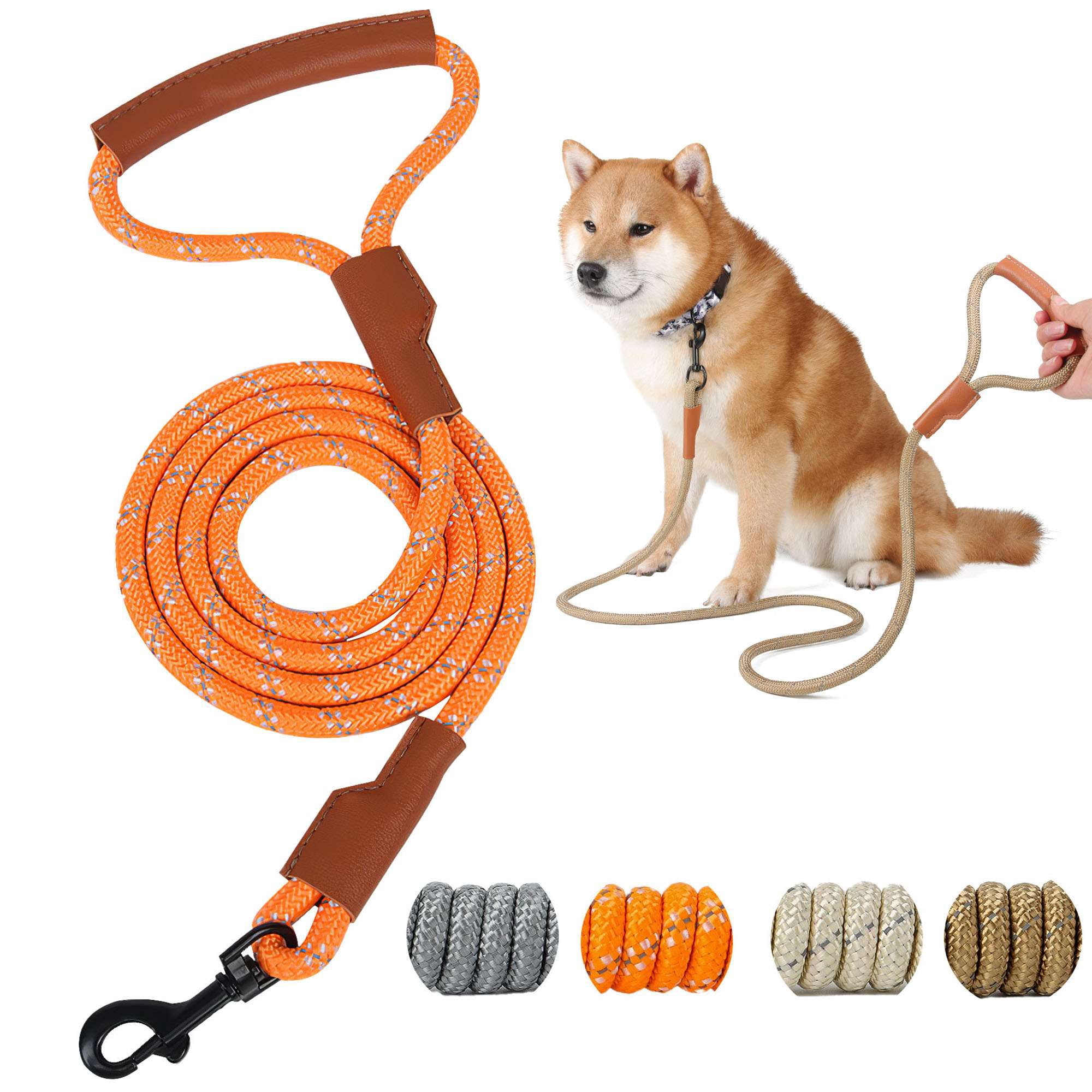 20 ft dog training leash 20' Biothane Long Training Leash – The Classy Canine