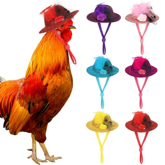 Deago 6PCS Chicken Hats for Hens Tiny Pets Funny Halloween Accessories Feather Top Hat with Adjustable Elastic Chin Strap Rooster Duck Parrot Poultry Costume