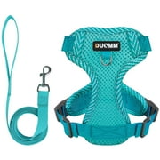 Deago Dog Harness and Leash Set, No Pull Soft Mesh Pet Harness, Reflective Adjustable Puppy Vest for Small Dogs, Cats (S, Blue)