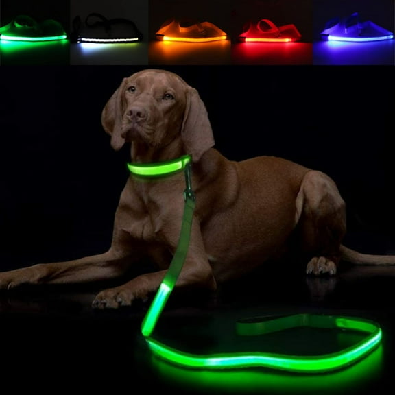 Deago Glowing LED Dog Leash - USB Rechargeable Flashing Pet Leash, 3 Flash Modes Nylon Light Up Dog Lead Makes Your Dog Visible& Safe(47.2inch/120cm)