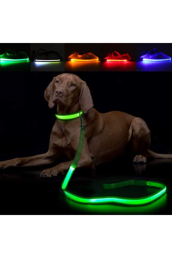 Glowing LED Dog Leash - USB Rechargeable Flashing Pet Leash, 3 Flash Modes Nylon Light Up Dog Lead Makes Your Dog Visible& Safe(47.2inch/120cm)