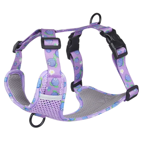 Deago No Pull Dog Harness Adjustable Reflective Nylon Pet Vest Harnesses Easy Control for Small Medium Large Dogs (Purple, S)