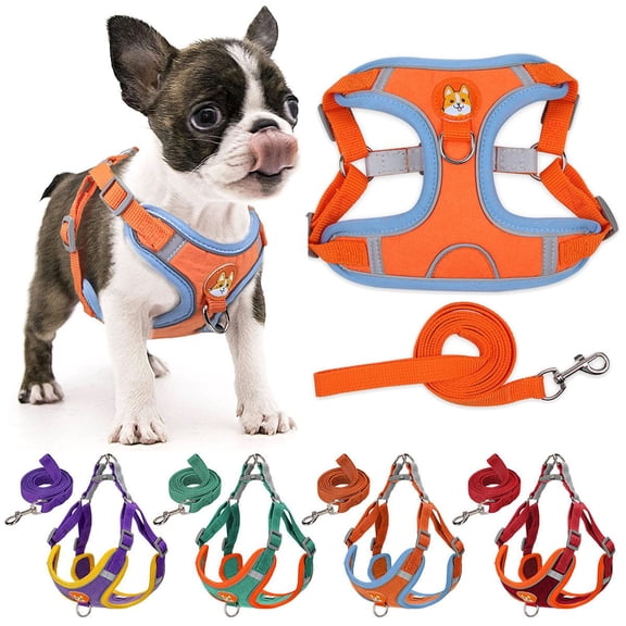 Deago No Pull Dog Harness and Leash Set Soft Suede Pet Harness Reflective Adjustable Puppy Vest for Small Medium Dogs (Blue, S)