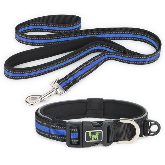 Deago Reflective Dog Collar and Leash Set Adjustable Padded Nylon Pet Collars with Dog Leashes for Small Medium Large Dogs (Blue, L)
