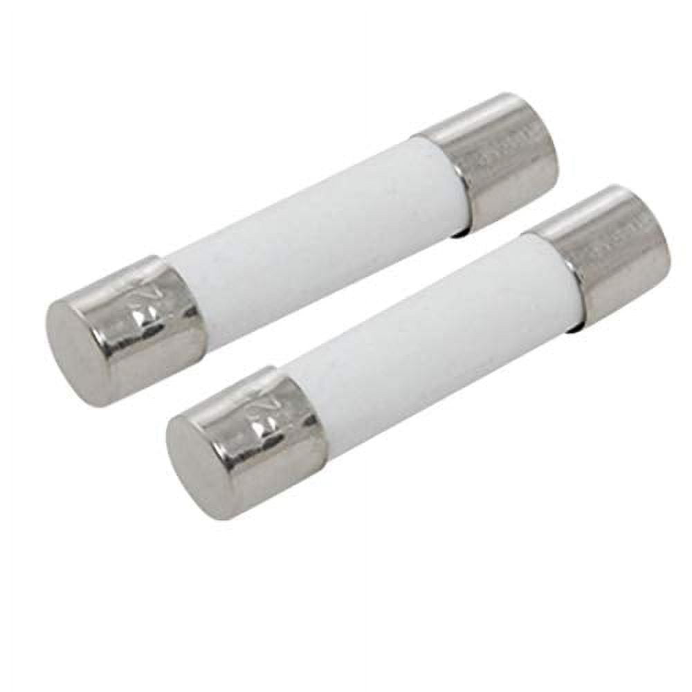 DealEnvy (2 Pack) Microwave Fuse / 20A Amp 250v Fuse, 6mm x 30 mm
