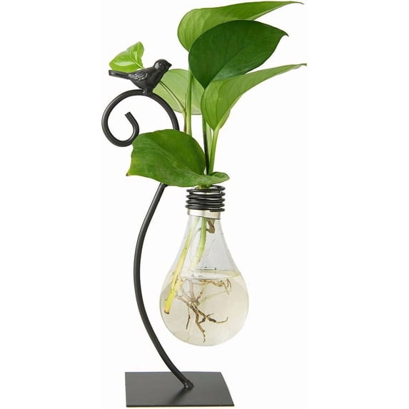 DEALLY Glass Bulb Vase with Modern Creative Bird Stand Hydroponic Planter Black 10.04 in Tall