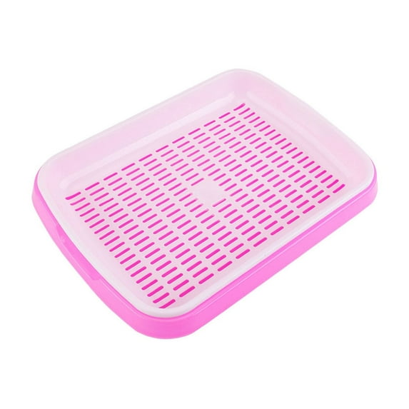 Large Double-Layer Plant Tray, Vegetable Sprouting Tray with Holes, Plastic Seedling Tray for Indoor and Outdoor Gardening, Plant Sprout Holder