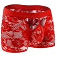 thumbnail image 1 of Abomasnow Mens Boxer Briefs Ball Pouch See Through Lace Lingerie Breathable Hollow Out Underwear for Men, 1 of 3