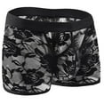 thumbnail image 1 of Deals of Today Abomasnow Mens Boxer Briefs Sexy Ball Pouch See Through Lace Lingerie Breathable Hollow Out Underwear for Men, 1 of 3