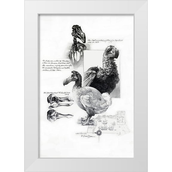 Dean, Bruce 23x32 White Modern Wood Framed Museum Art Print Titled - Dodo