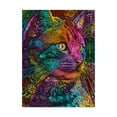 thumbnail image 1 of Dean Russo 'Felis' Canvas Art, 1 of 4
