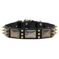 thumbnail image 1 of Dean & Tyler 029882257203 1.5 in. Devilish Della Brass Spikes & Plates Collar, Black - 22 in., 1 of 1