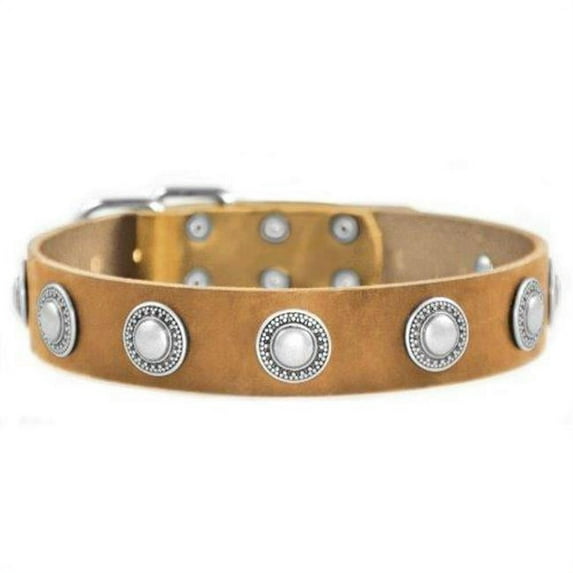 Dean & Tyler 682017008189 0.75 in. B&B Brass Flat Leather Collar, Brown - 8 in.