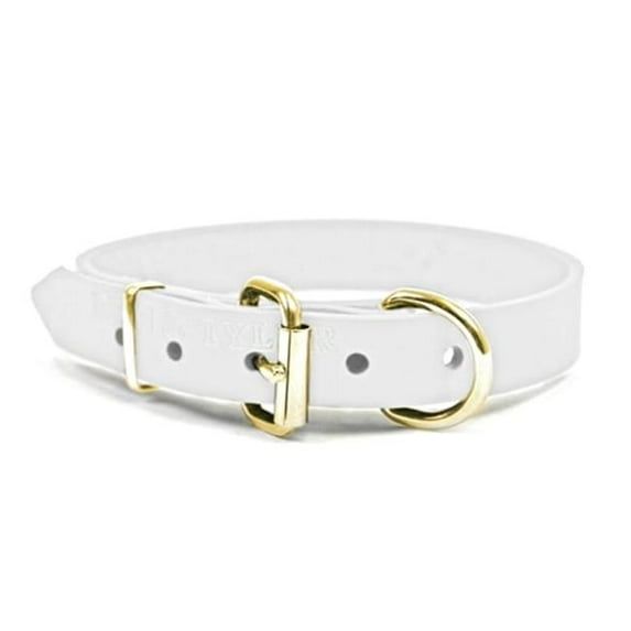 Dean & Tyler 682017008882 2.25 in. B&B Brass Flat Leather Collar, White - 36 in.