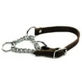 thumbnail image 1 of Dean & Tyler 765573971217 0.75 in. Leather Martingale Chrome Steel Collar, Brown - 30 in., 1 of 1