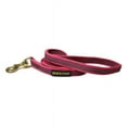 thumbnail image 1 of Dean & Tyler All Weather Stronghold Dog Leash for Maximum Grip Berry Pink, 1 of 4