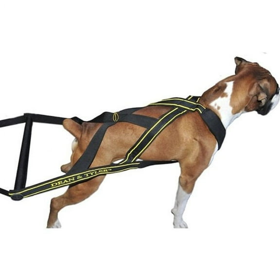Dean & Tyler Professional Pulling Dog Harness DT Pro Pull Large