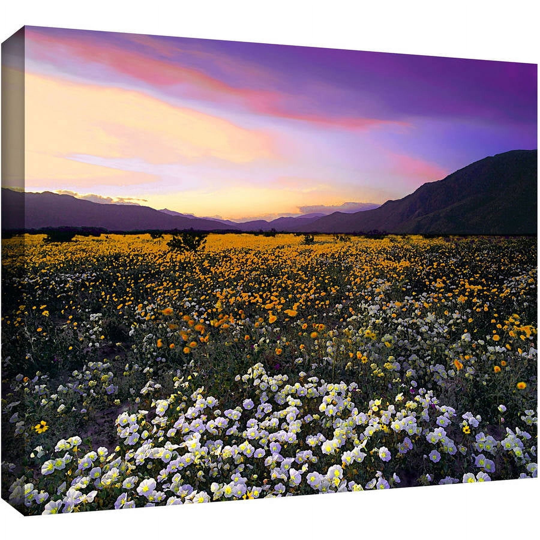 Dean Uhlinger "Adj Borrego Desert Spring" Gallery-Wrapped Canvas