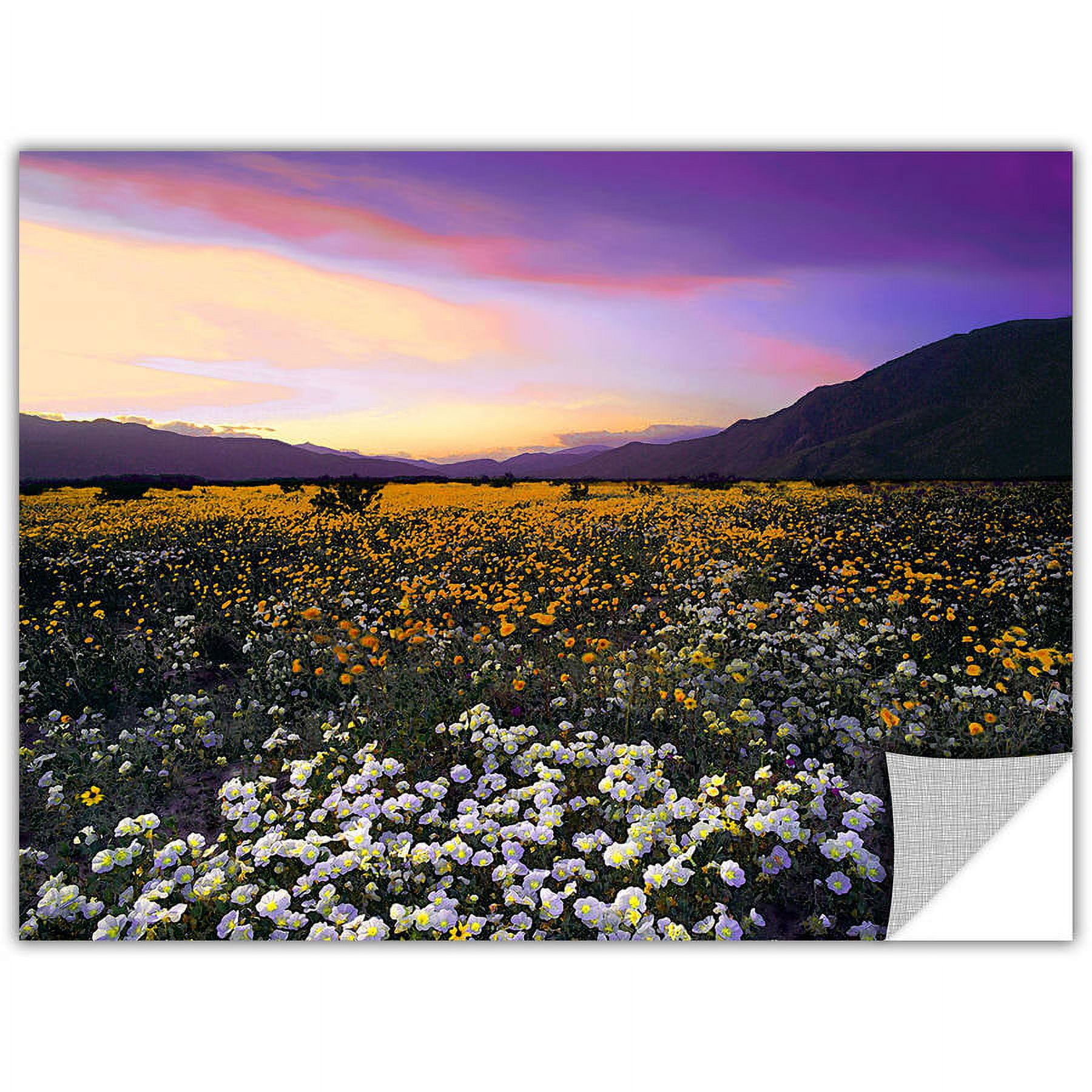 Dean Uhlinger "Adj Borrego Desert Spring" Removable Wall Art