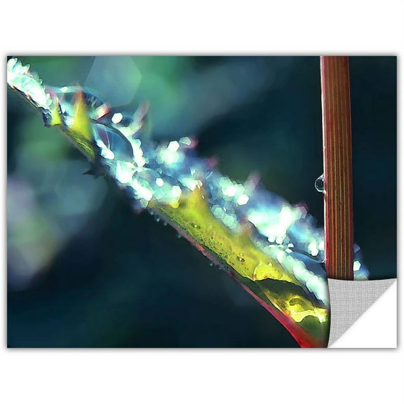 Dean Uhlinger After Garden Rain, Art Appeelz Removable Wall Art Graphic