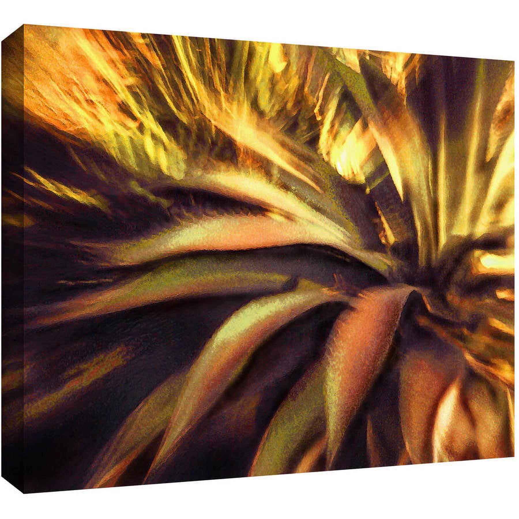 Dean Uhlinger "Agave Puesta" Gallery-Wrapped Canvas